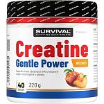 Creatine Monohydrate Gentle Power - 320 g, cola-citron (cuba libre)