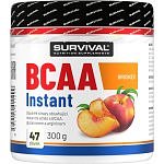 BCAA Instant - 300 g, cola-citron (cuba libre)
