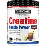 Creatine Monohydrate Gentle Power - 480 g, cola-citron (cuba libre)