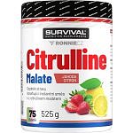 Citrulline Malate - 525 g, mango-pomeranč